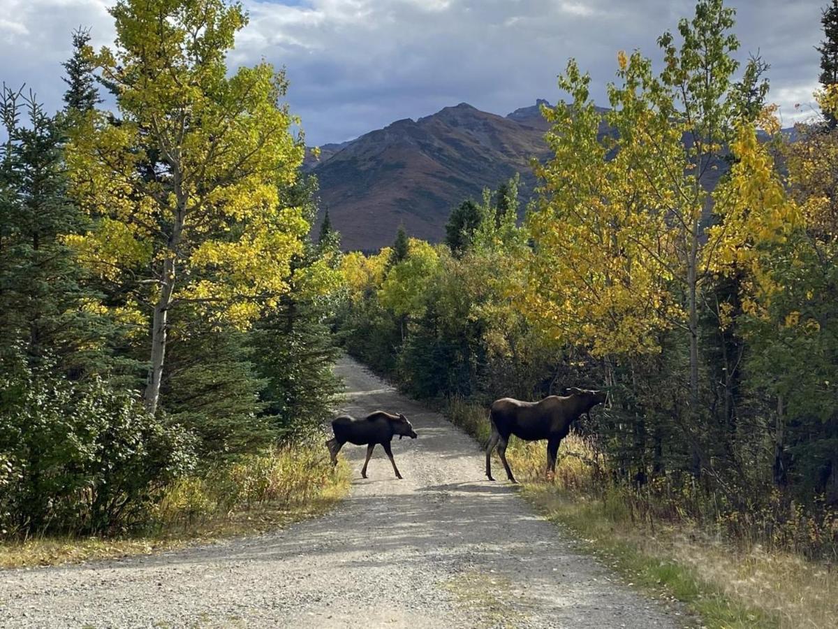 Denali Park View House Villa Healy Eksteriør billede